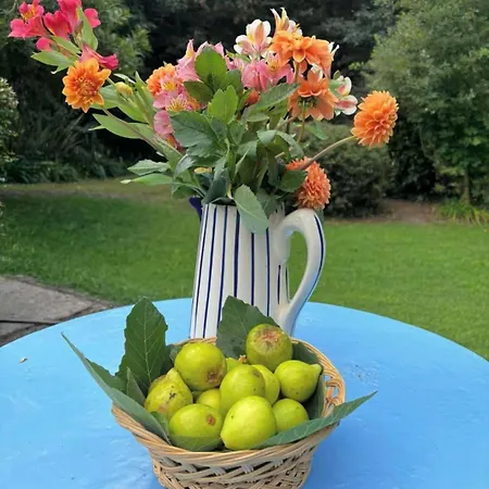 No Meio Da Natureza - Turismo No Espaco Rural