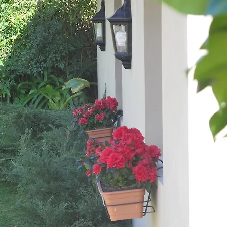 No Meio Da Natureza - Turismo No Espaco Rural Vila Nova de Famalicão