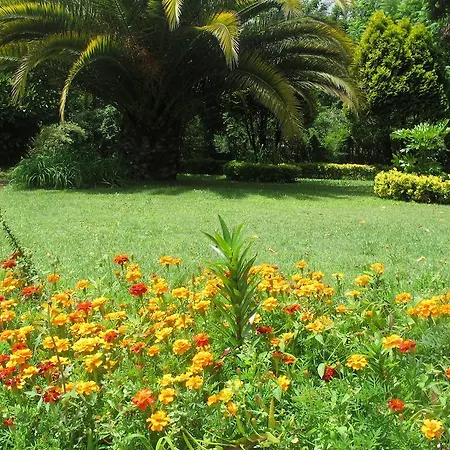 בית חווה No Meio Da Natureza - Turismo No Espaco Rural *