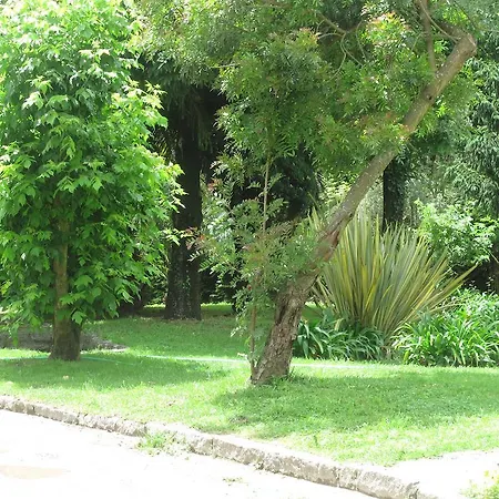 בית חווה No Meio Da Natureza - Turismo No Espaco Rural