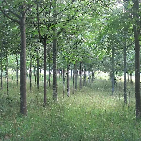 Agroturismo No Meio Da Natureza - Turismo No Espaco Rural Vila Nova de Famalicão