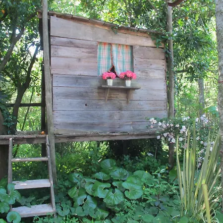 No Meio Da Natureza - Turismo No Espaco Rural * Vila Nova de Famalicão