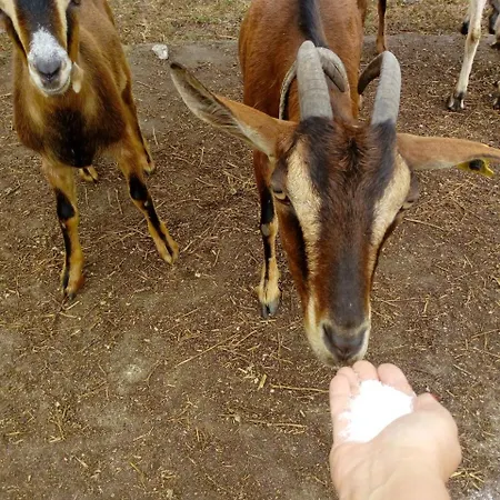 No Meio Da Natureza - Turismo No Espaco Rural * Vila Nova de Famalicão