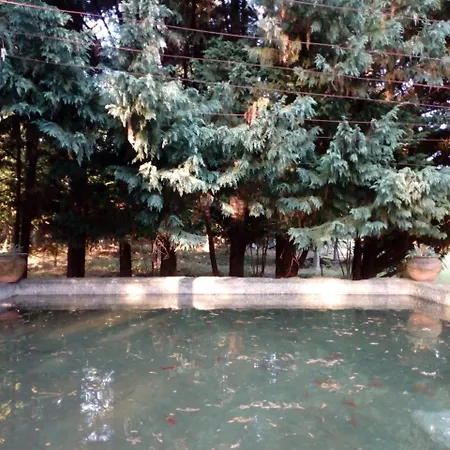 No Meio Da Natureza - Turismo No Espaco Rural * Vila Nova de Famalicão