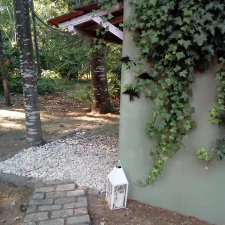 No Meio Da Natureza - Turismo No Espaco Rural בית חווה *