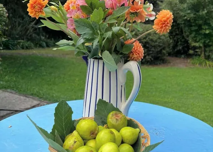 No Meio Da Natureza - Turismo No Espaco Rural