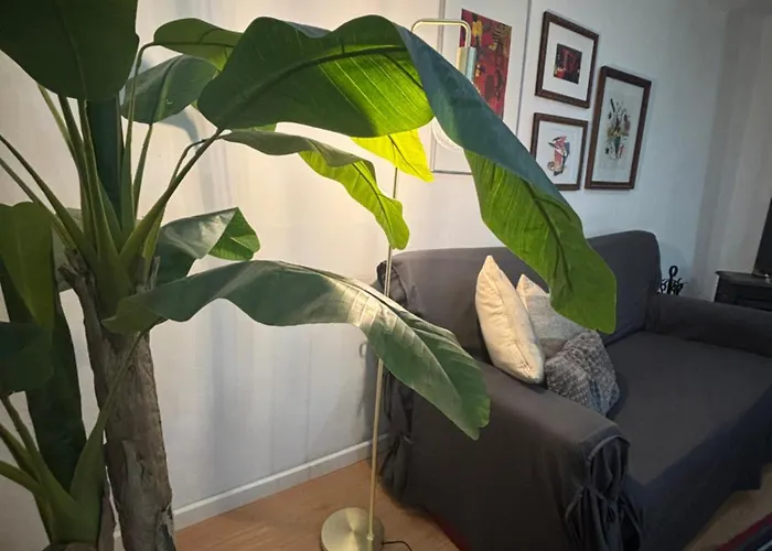 No Meio Da Natureza - Turismo No Espaco Rural Vila Nova de Famalicão