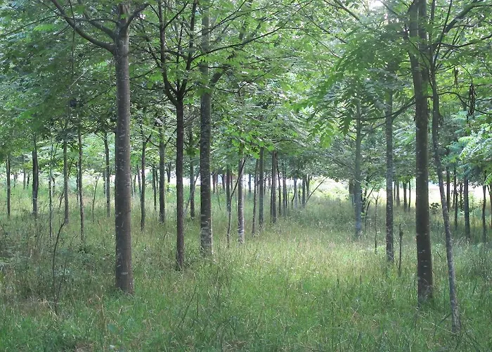 Gospodarstwo agroturystyczne No Meio Da Natureza - Turismo No Espaco Rural Vila Nova de Famalicão