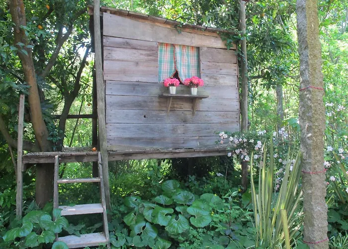 No Meio Da Natureza - Turismo No Espaco Rural * Вила-Нова-ди-Фамаликан