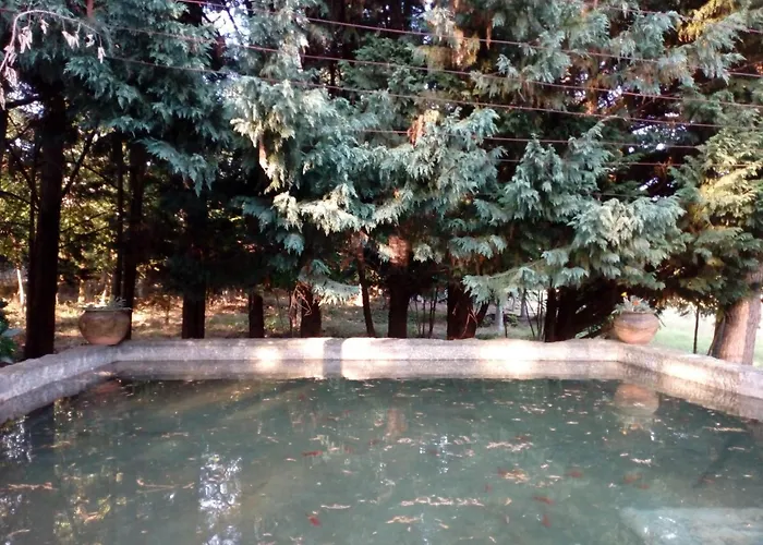 No Meio Da Natureza - Turismo No Espaco Rural * Vila Nova de Famalicão